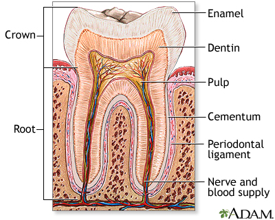 Root Canal Treatment in Albuquerque