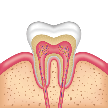 General Myths About Root Canal Treatment